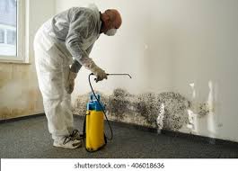 Best Mold Remediation for Healthcare Facilities  in La Verkin, UT